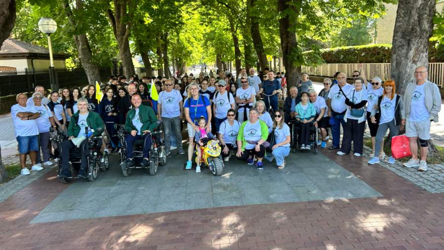 Grupo numeroso de personas participando en una caminata inclusiva al aire libre bajo una avenida arbolada. Entre las personas participantes hay usuarios de sillas de ruedas y personas con distintas necesidades de movilidad, reunidas para una fotografía de grupo en un entorno accesible. La imagen refleja diversidad, participación comunitaria e inclusión social.