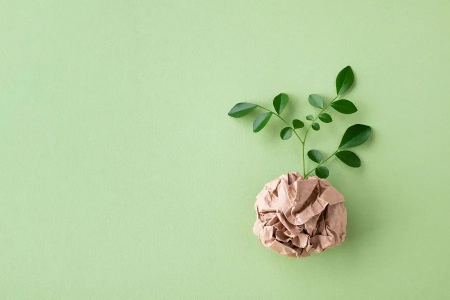 cpnmcepto de zero waste; una bolsa de papel hace de raíz de una planta sobre fondo verde