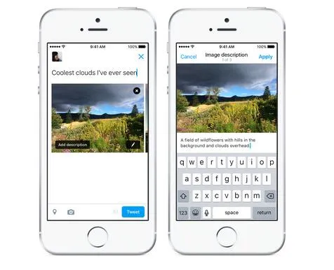 Texto alternativo en las imágenes de Twitter