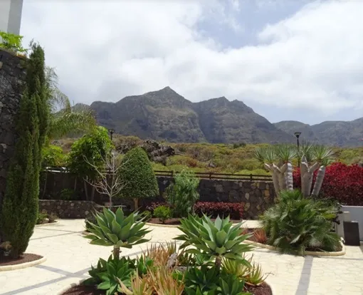 Fotografía de un jardín 